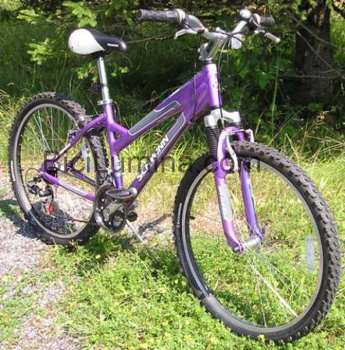 Schwinn SX2000 ficha técnica y opiniones
